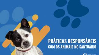 25-0844_25-0844_CCI_Comunicacao_Cachorros_Capa_Intra